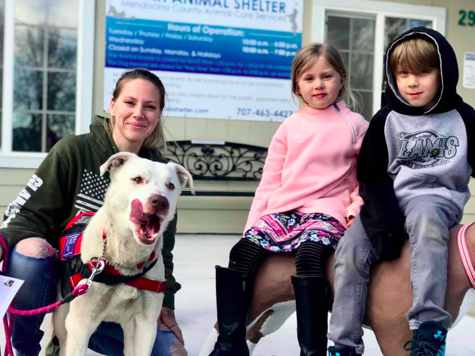 Canine Science Collaboratory